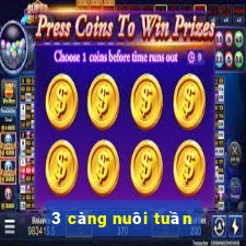 3 càng nuôi tuần