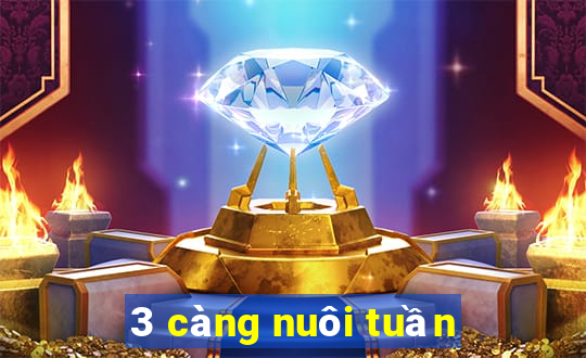 3 càng nuôi tuần