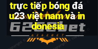 trực tiếp bóng đá u23 việt nam và indonesia