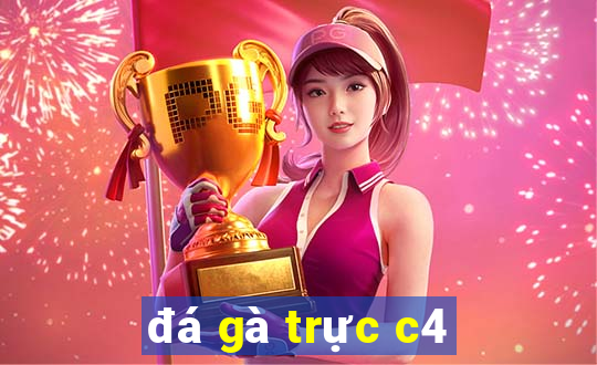 đá gà trực c4