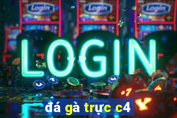 đá gà trực c4