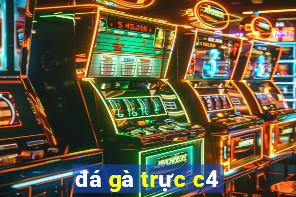 đá gà trực c4