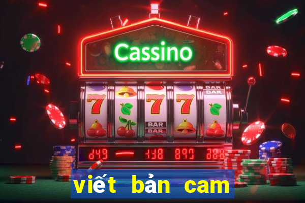 viết bản cam kết đánh nhau