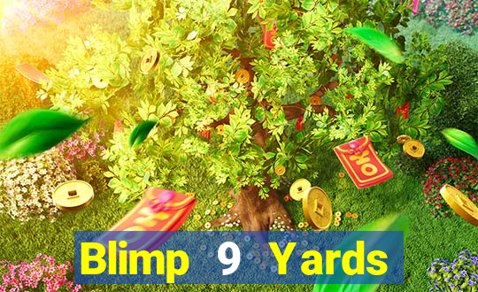 Blimp 9 Yards Cùng nhau Fun88