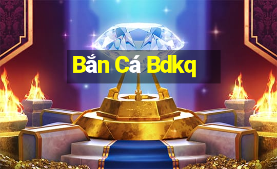 Bắn Cá Bdkq