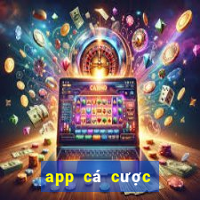 app cá cược thể thao