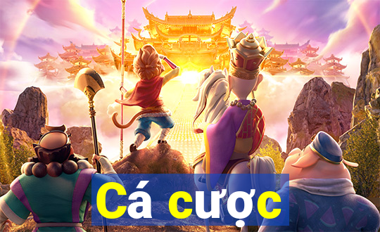 Cá cược