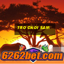 tro choi sam