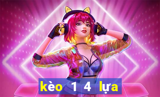 kèo 1 4 lựa là sao