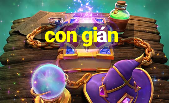 con gián