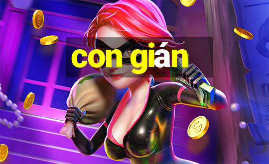 con gián