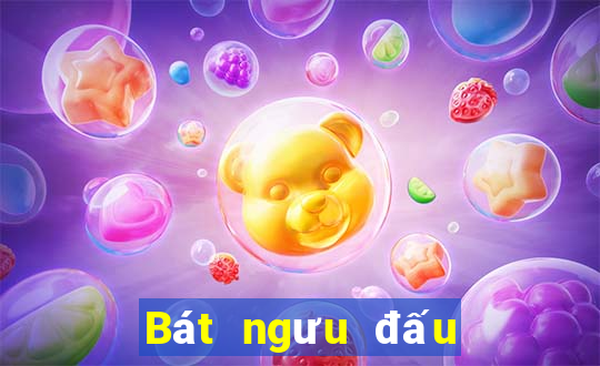 Bát ngưu đấu Táo địa chủ