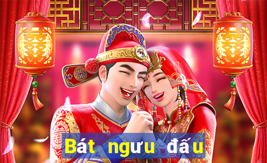 Bát ngưu đấu Táo địa chủ