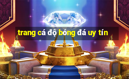 trang cá độ bóng đá uy tín