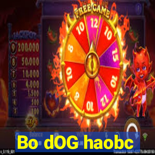 Bo dOG haobc