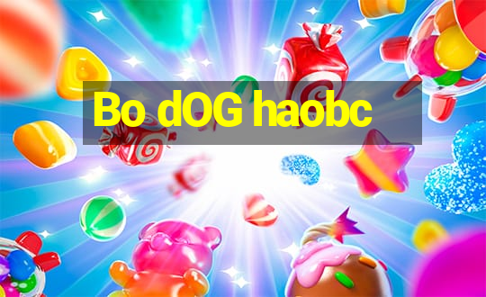 Bo dOG haobc