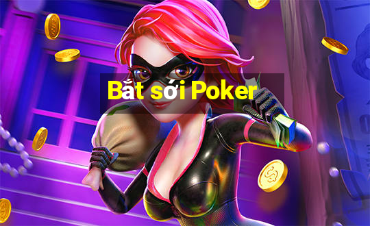 Bắt sới Poker