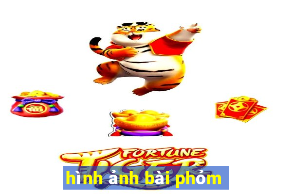 hình ảnh bài phỏm