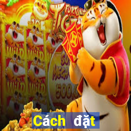 Cách đặt cược XSDN Thứ 5