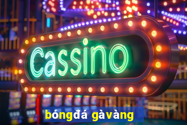 bóng đá gà vàng