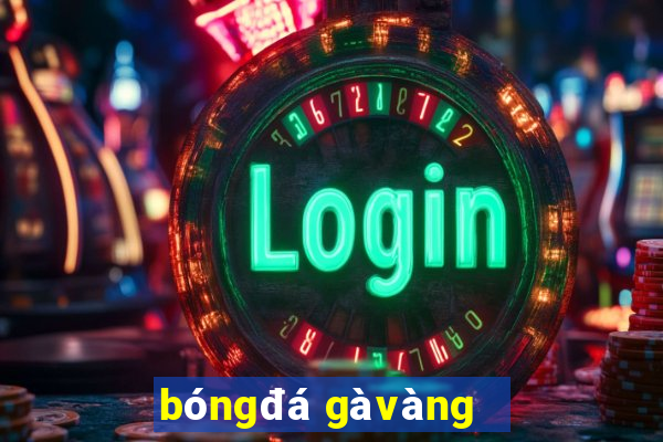 bóng đá gà vàng