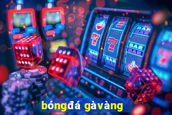 bóng đá gà vàng