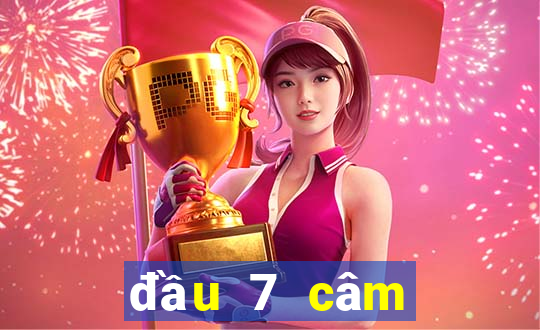 đầu 7 câm đánh lô gì