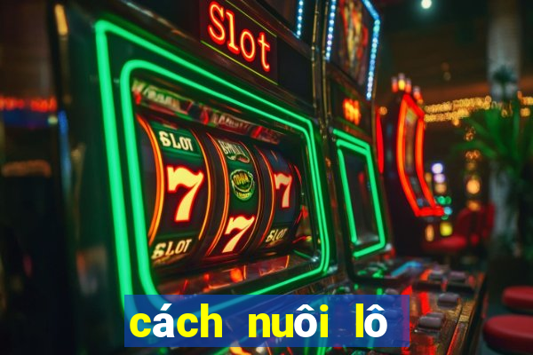 cách nuôi lô khung 2 ngày