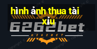 hình ảnh thua tài xỉu