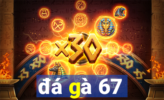 đá gà 67