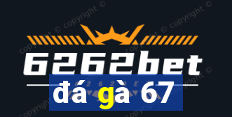 đá gà 67