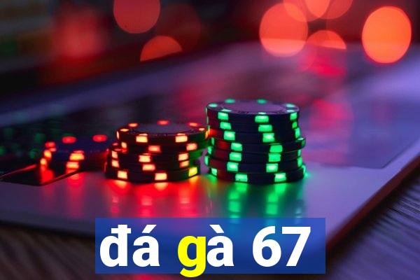 đá gà 67