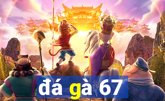 đá gà 67