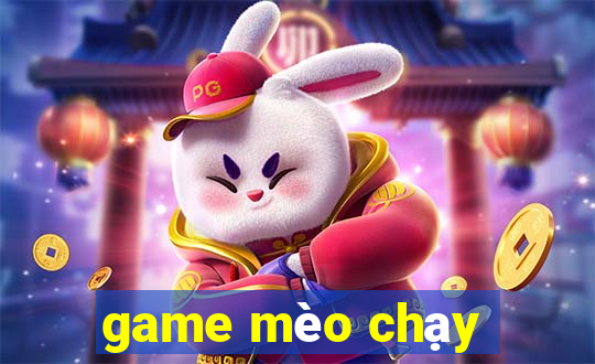 game mèo chạy