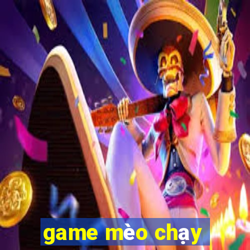 game mèo chạy