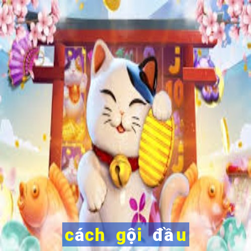 cách gội đầu hết bết