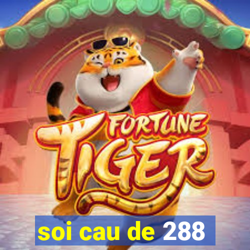 soi cau de 288