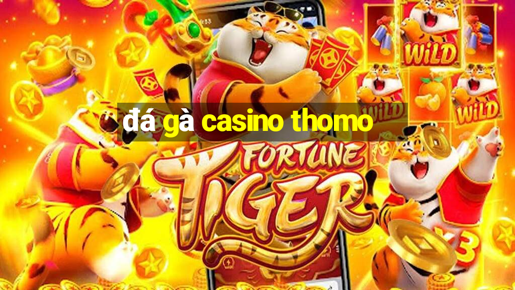 đá gà casino thomo