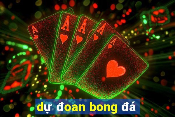 dự đoan bong đá