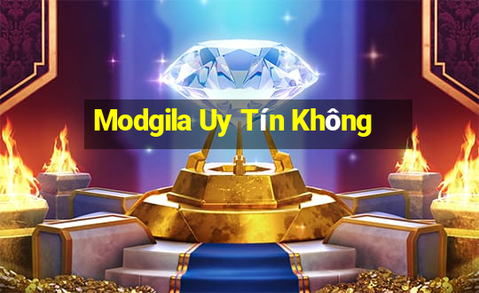 Modgila Uy Tín Không