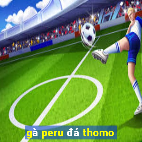 gà peru đá thomo