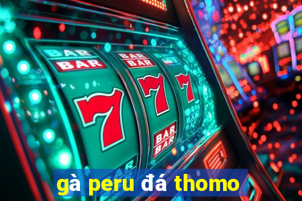 gà peru đá thomo