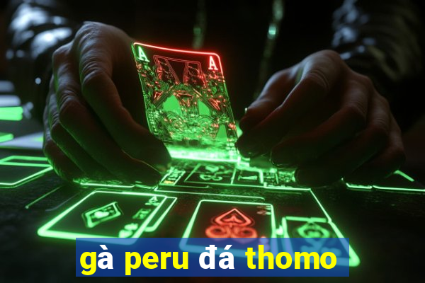 gà peru đá thomo