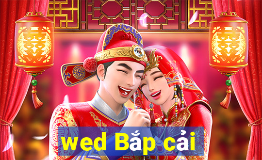 wed Bắp cải