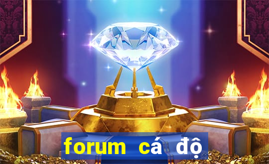 forum cá độ bóng đá