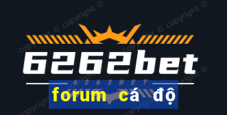 forum cá độ bóng đá