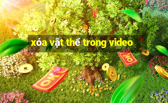 xóa vật thể trong video