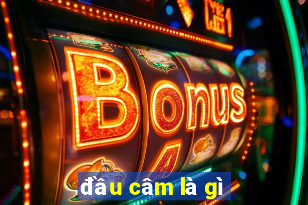 đầu câm là gì