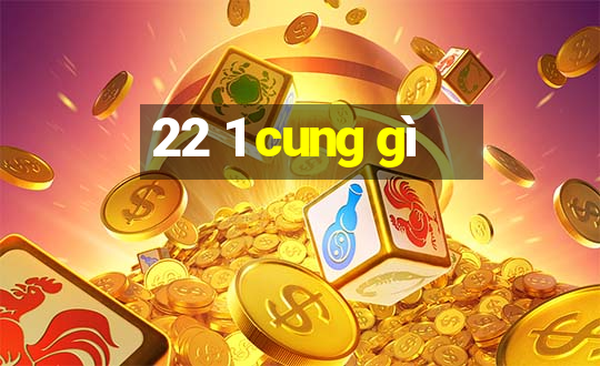 22 1 cung gì