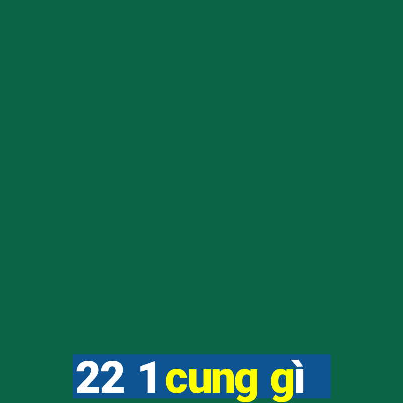 22 1 cung gì